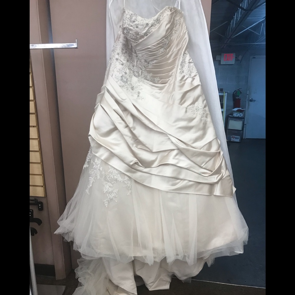 Champagne wedding dress from David’s Bridal